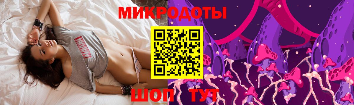Кисловодск  сколько стоит  Вход с VPN  Псилоцибиновые грибы мухоморы  Псилоцибиновые грибы мухоморы 